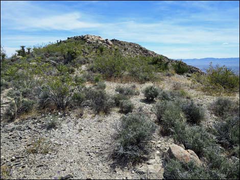 Jumbo Springs Wilderness