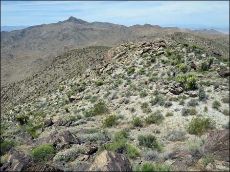 Jumbo Springs Wilderness