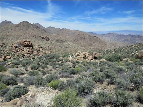 Jumbo Springs Wilderness