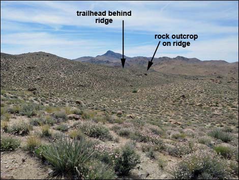 Jumbo Springs Wilderness