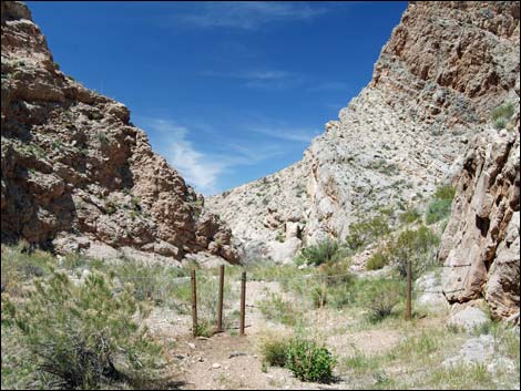 Lime Canyon