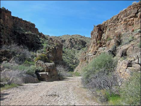 Lime Canyon