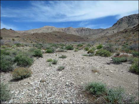 Lincoln Mine Route