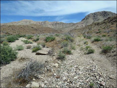 Lincoln Mine Route