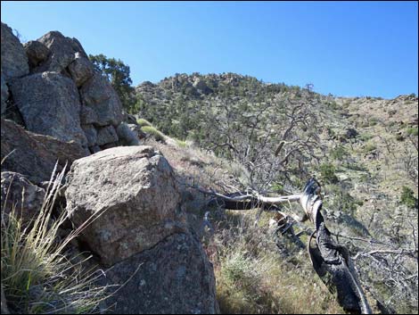 Mica Peak