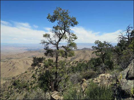 Mica Peak