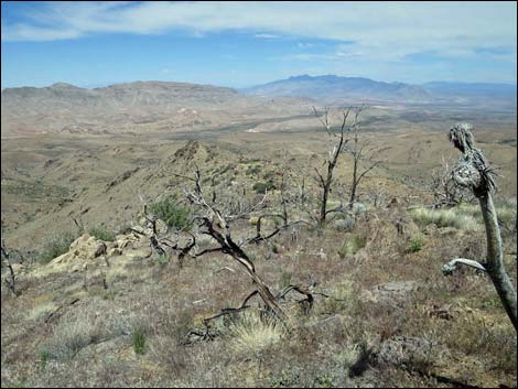 Mica Peak