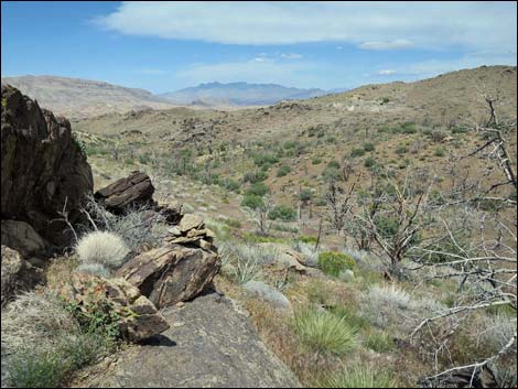 Mica Peak