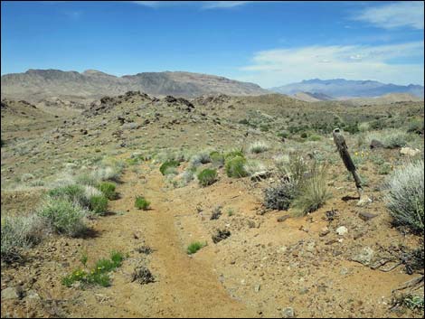 Mica Peak