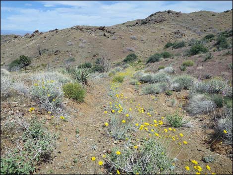 Mica Peak