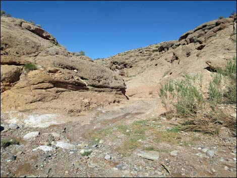 Mud Wash Narrows