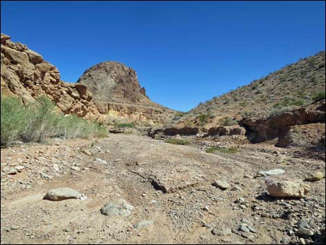 Mud Wash Narrows