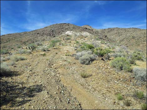 Mud Wash North Road  Nevada Mica Mine Road