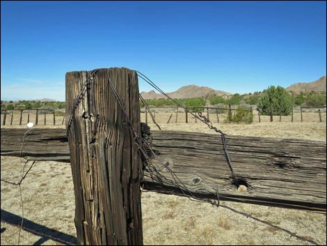 Cedar Basin Corral