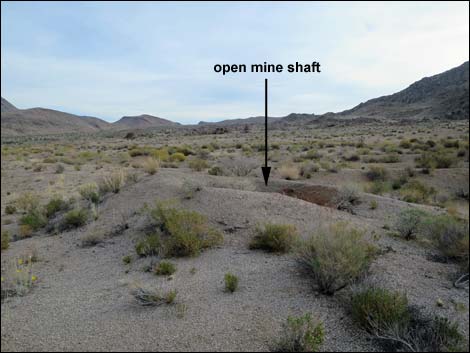 Gold Butte Mill