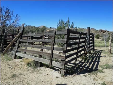 Grapevine Spring Corral