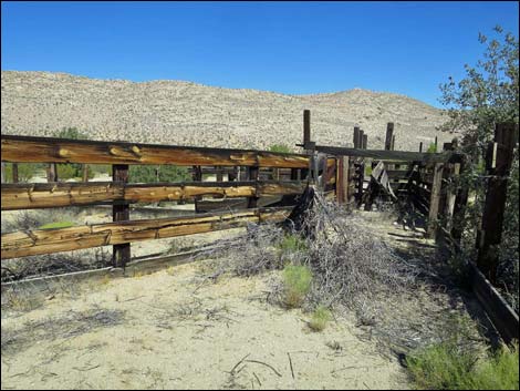 Garden Spring Corral