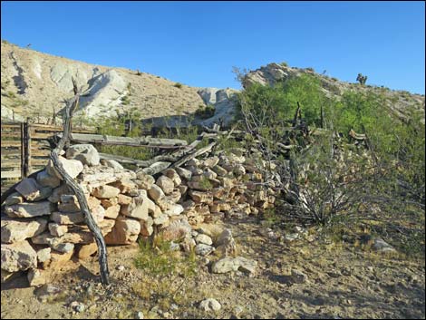 Garden Spring Corral