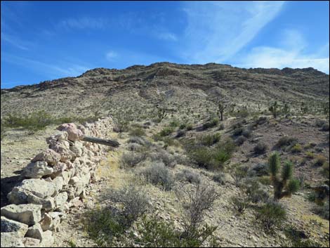 Horse Spring Corral