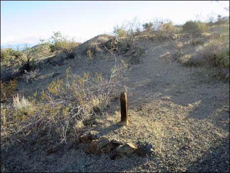 Lakeshore Mine