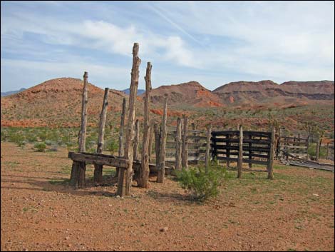 Gold Butte Road Corral