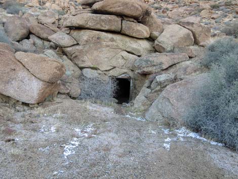 Gold Butte Townsite Upper Mine