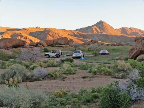 Gold Butte Townsite