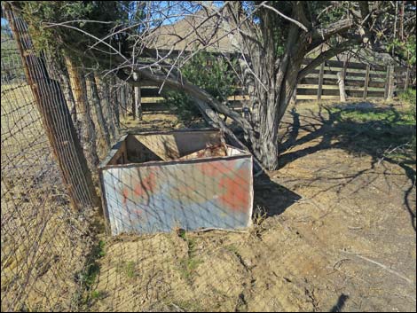 Willow Wash Corral