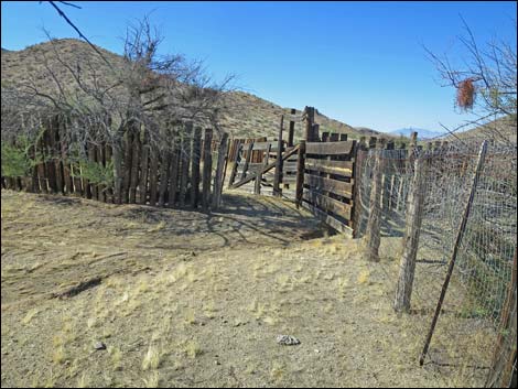 Willow Wash Corral