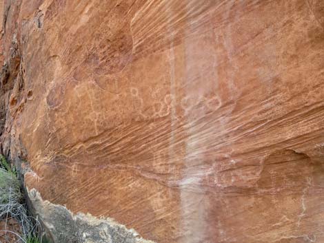 Gold Butte petroglyphs