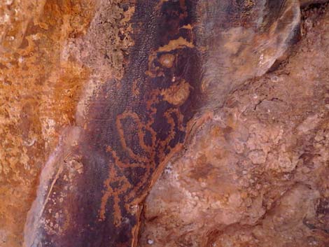 Gold Butte petroglyphs