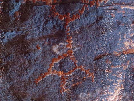 Gold Butte petroglyphs