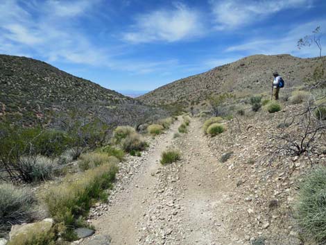 Whitney Wash Loop