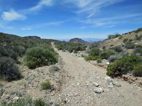 Whitney Wash Loop