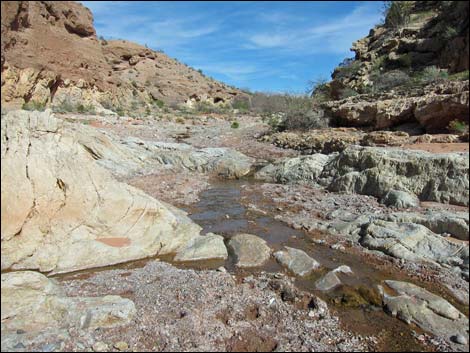 Red Bluff Spring