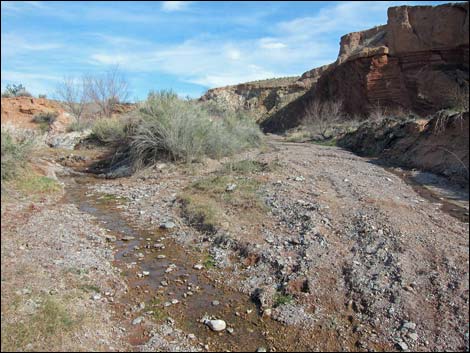 Red Bluff Spring