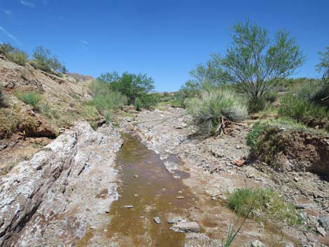 Red Bluff Spring