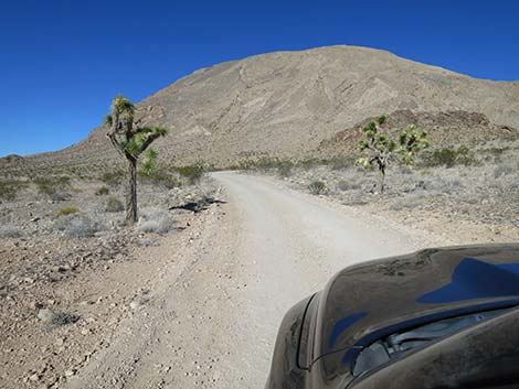 Black Butte Road