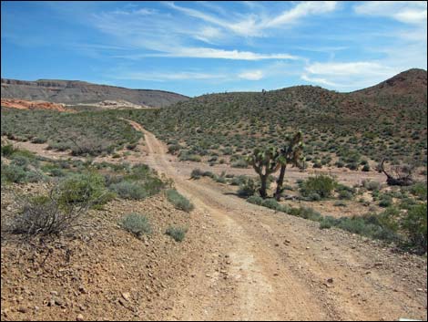 Black Butte Road