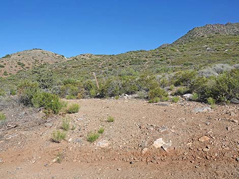 Cabin Canyon Road