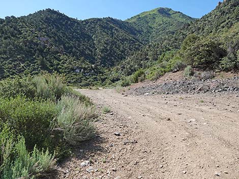 Cabin Canyon Road