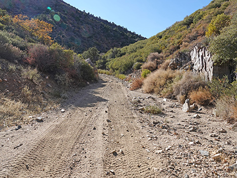 Cabin Canyon Road