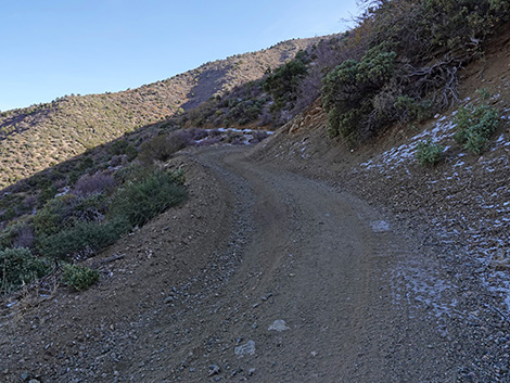 Cabin Canyon Road