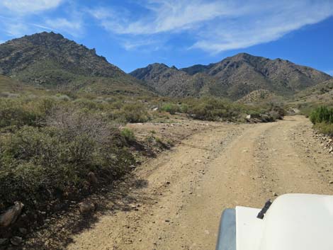 Cabin Canyon Road