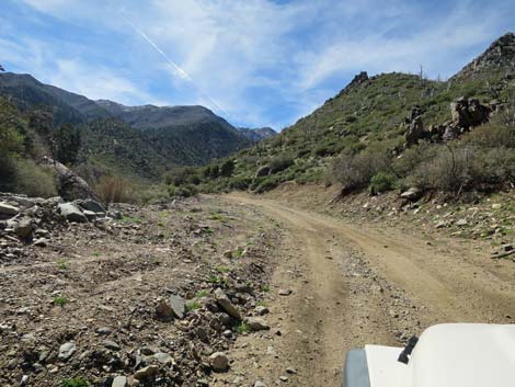 Cabin Canyon Road