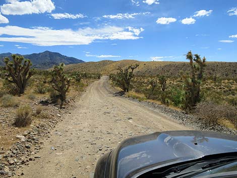 Cabin Canyon Road