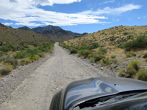 Cabin Canyon Road