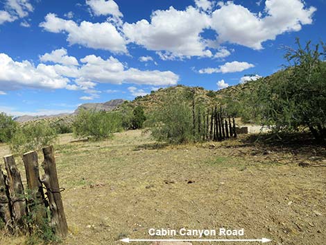 Cabin Canyon Road