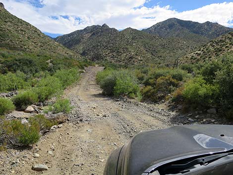 Cabin Canyon Road