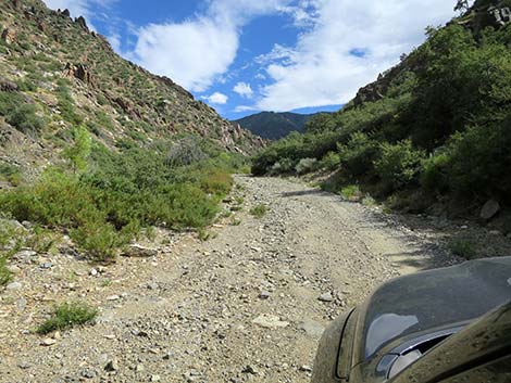 Cabin Canyon Road